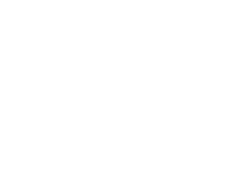 ron barcelo